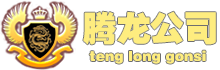 腾龙新盛照明实业公司官网